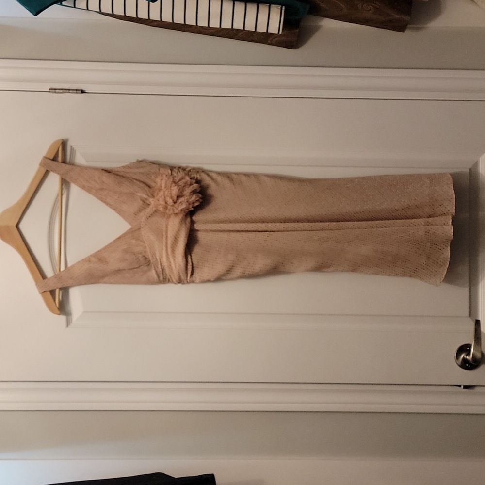 BCBG dress